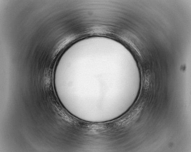 X0000098190874200805081045