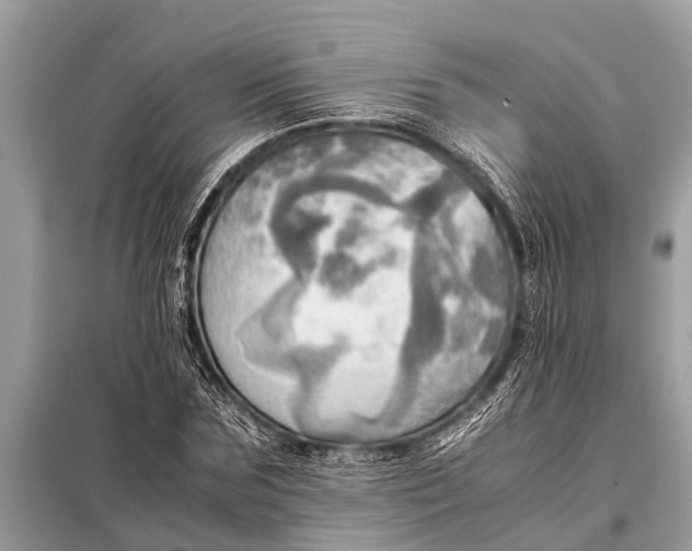 X0000098190875200805081045