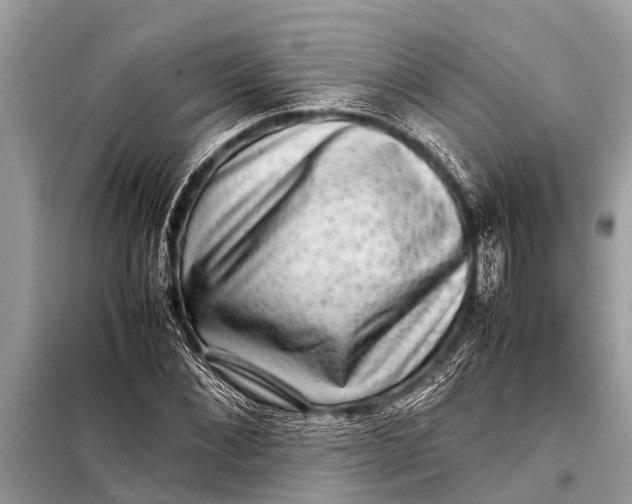 X0000098190876200805081045