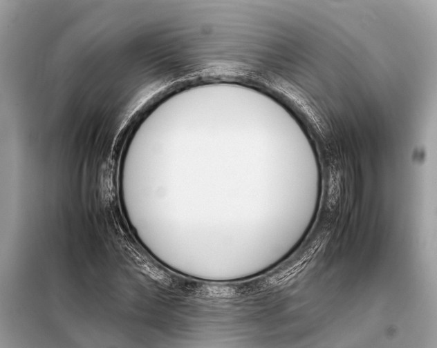 X0000098190878200805081045