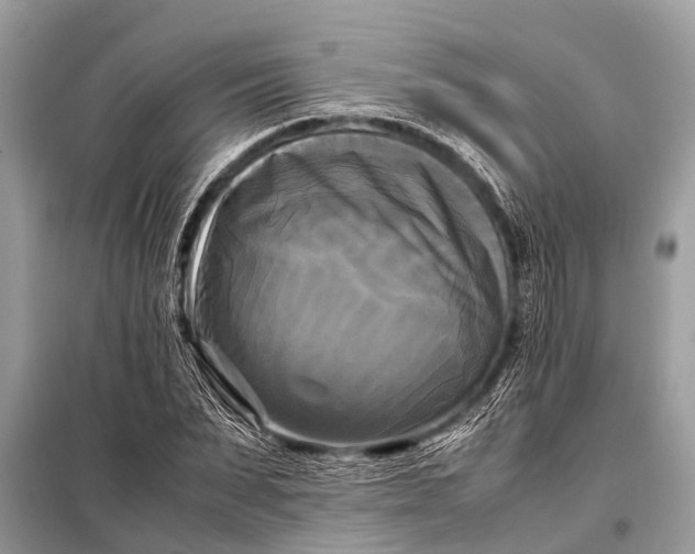 X0000098190879200805081045