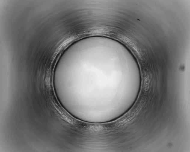 X0000098190882200805081045