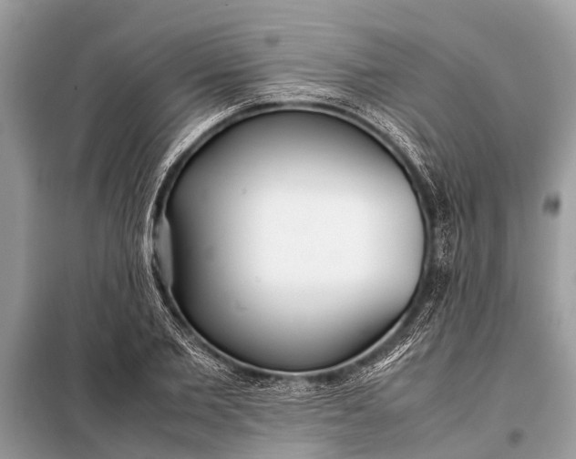 X0000098190885200805081045