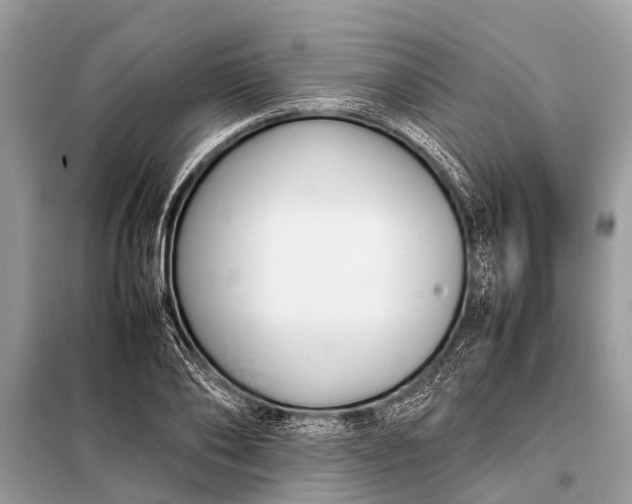 X0000098190886200805081045