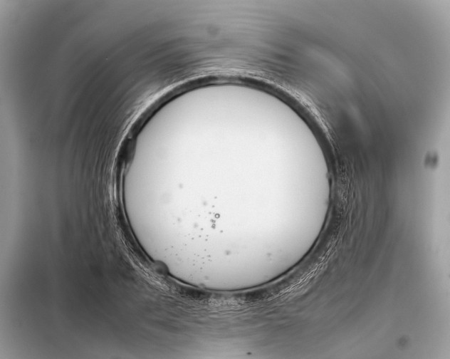 X0000098190887200805081045