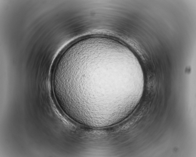 X0000098190888200805081045