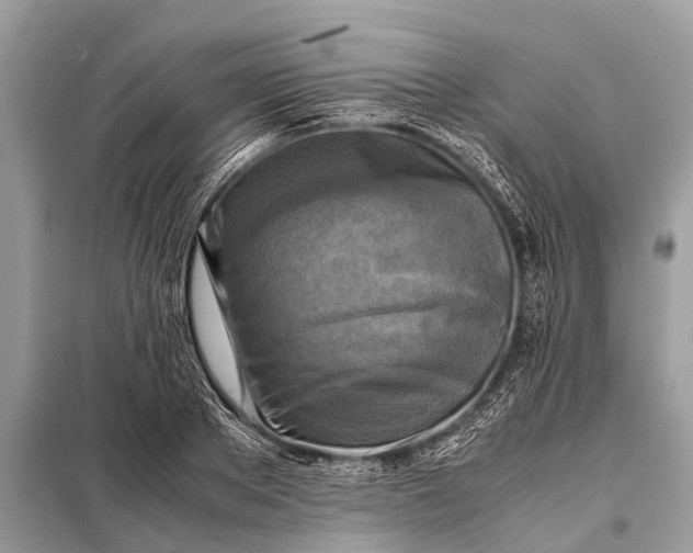 X0000098190889200805081045