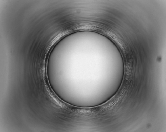 X0000098190890200805081045