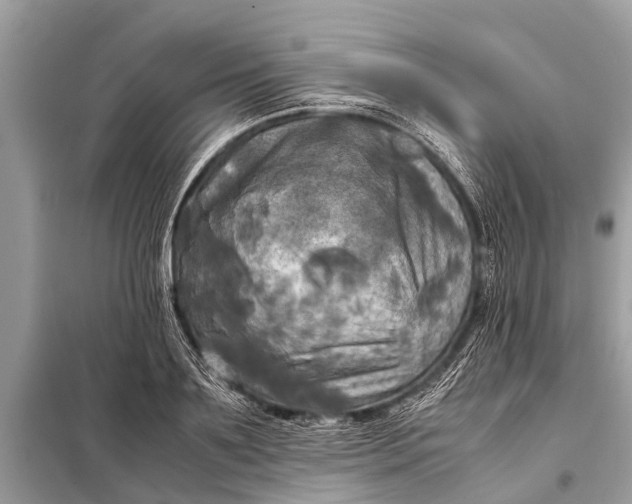 X0000098190891200805081045