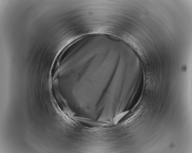 X0000098190892200805081045