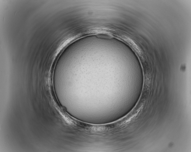 X0000098190893200805081045