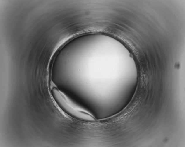 X0000098190894200805081045