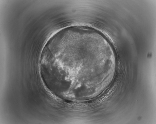 X0000098190895200805081045