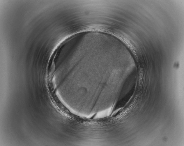 X0000098190896200805081045
