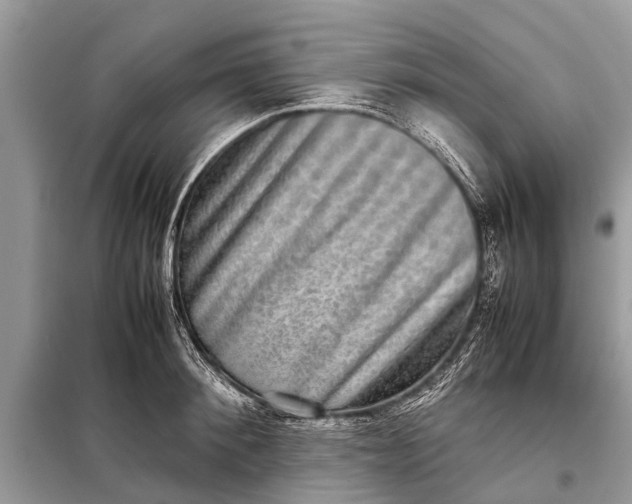 X0000098190900200805081045