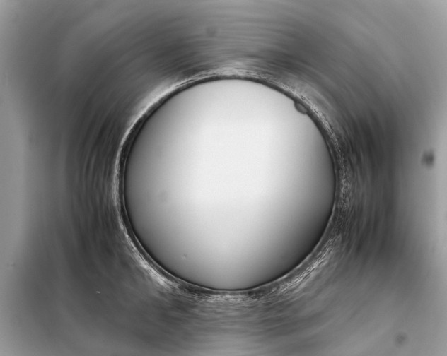 X0000098190902200805081045