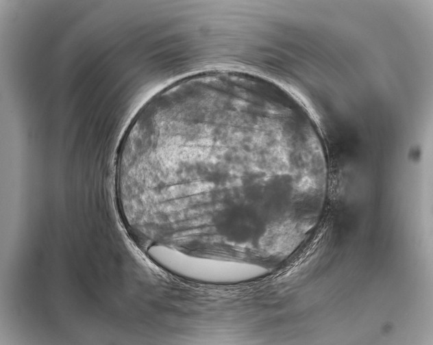 X0000098190903200805081045