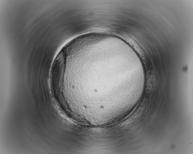 X0000098190904200805081045