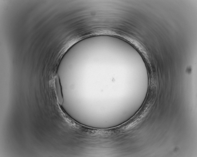 X0000098190905200805081045