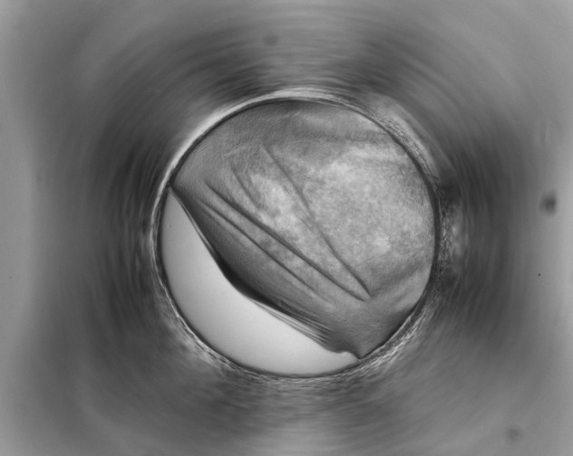 X0000098190908200805081045