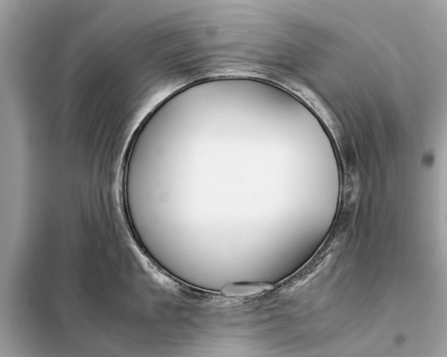X0000098190909200805081045
