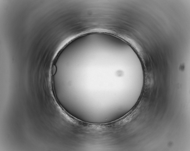 X0000098190910200805081045