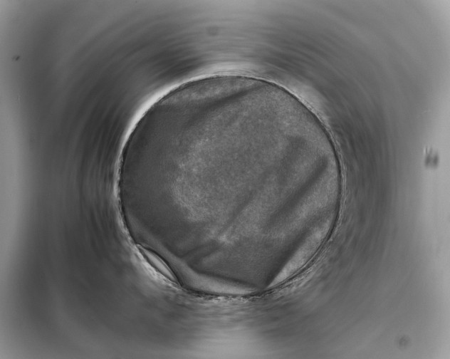 X0000098190912200805081045