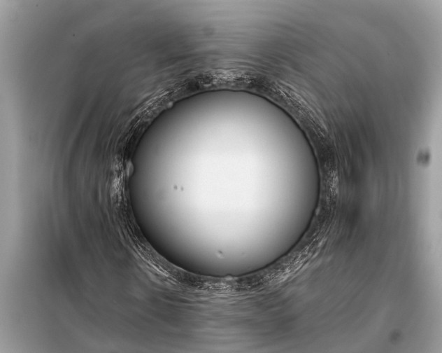 X0000098190914200805081044