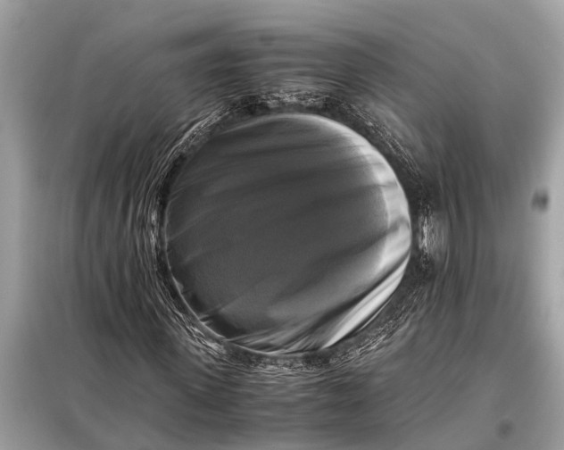X0000098190915200805081044