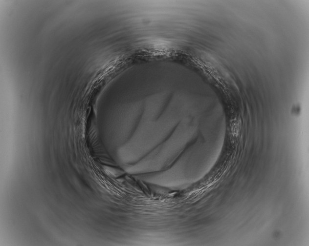 X0000098190916200805081044