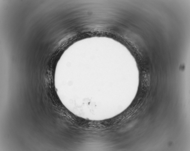 X0000098190918200805081044