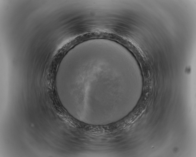 X0000098190919200805081044