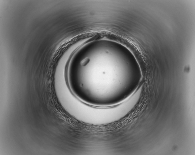 X0000098190920200805081044