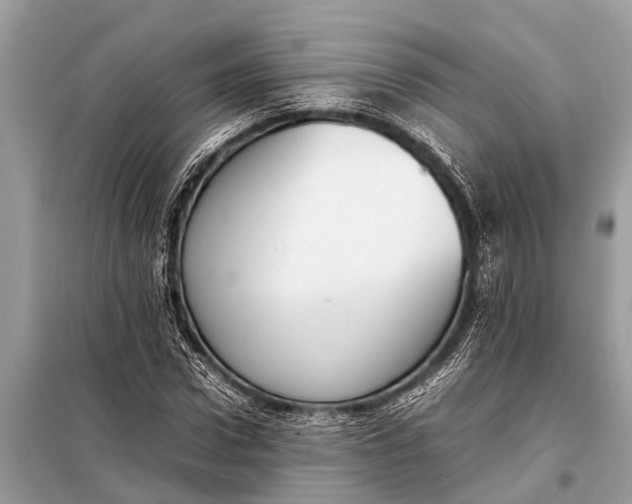 X0000098190922200805081044
