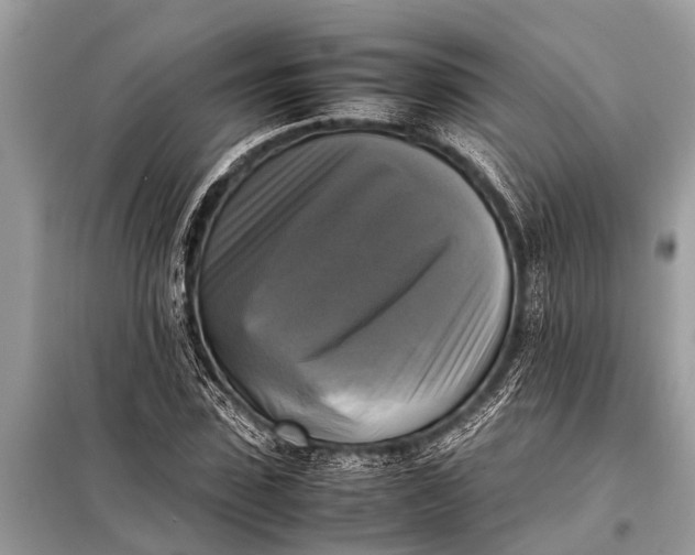 X0000098190923200805081044