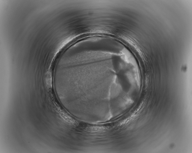 X0000098190925200805081044