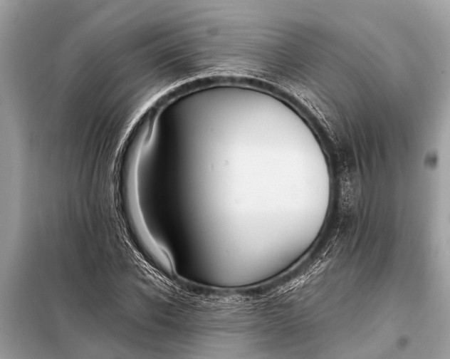 X0000098190926200805081044