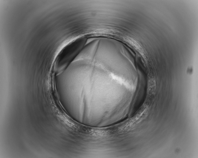 X0000098190928200805081044