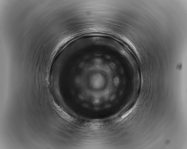 X0000098190930200805081044