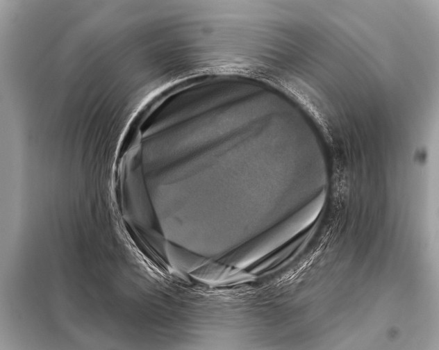 X0000098190932200805081044