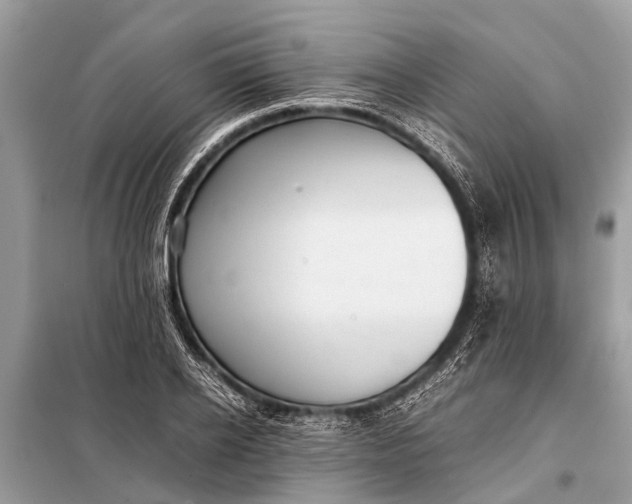 X0000098190934200805081044