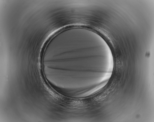 X0000098190935200805081044