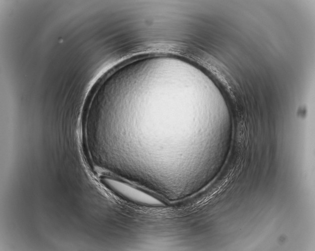 X0000098190936200805081044