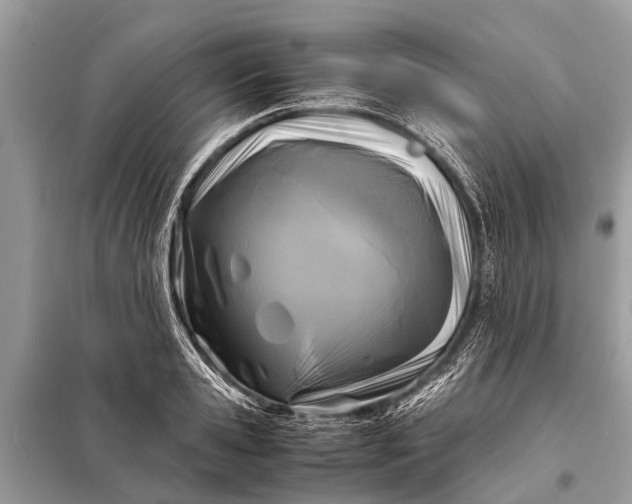 X0000098190941200805081044