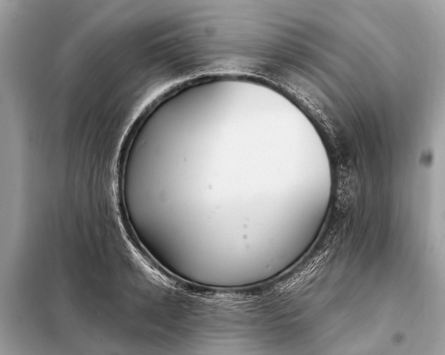 X0000098190942200805081044