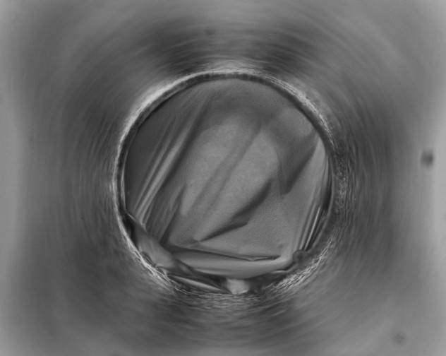 X0000098190943200805081044