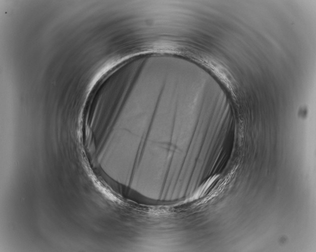 X0000098190944200805081044