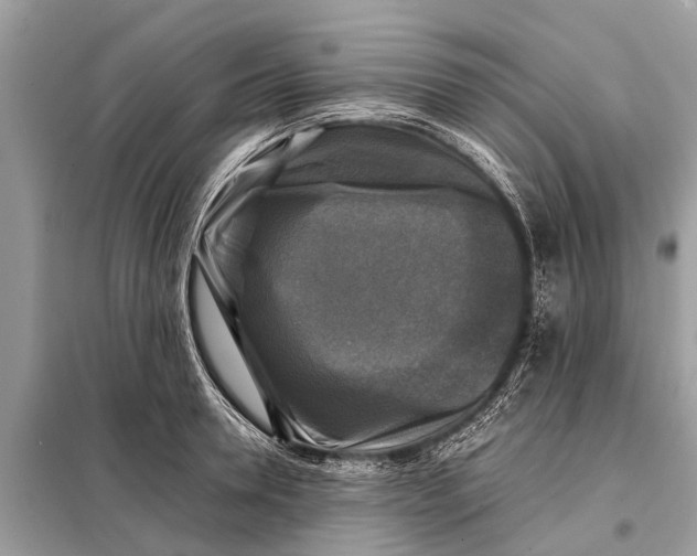 X0000098190946200805081044