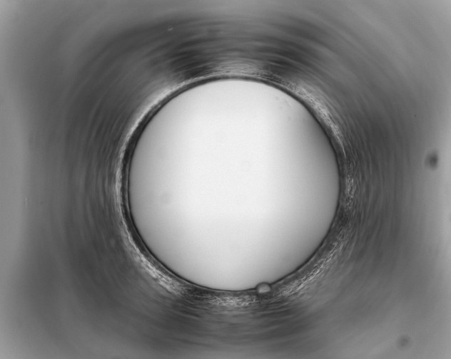 X0000098190947200805081044