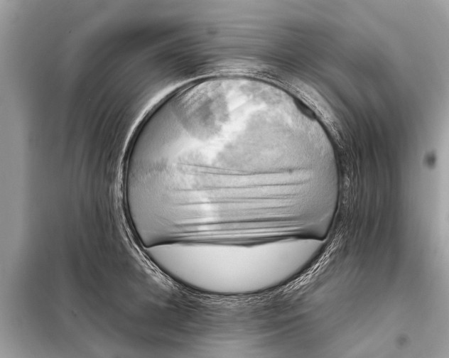 X0000098190948200805081045